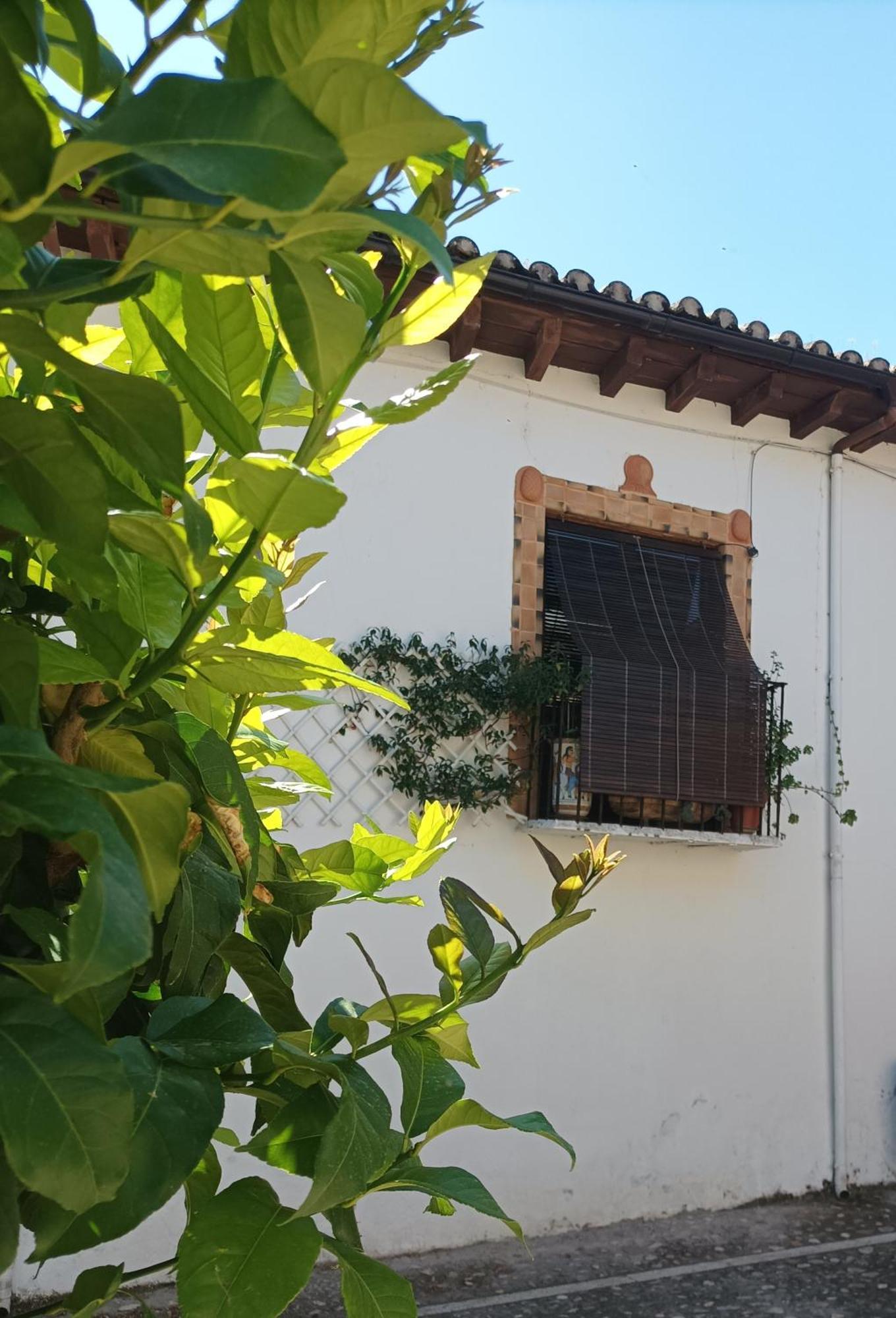 La Solana, Alojamiento Y Alfareria Arenas de San Pedro Exterior photo